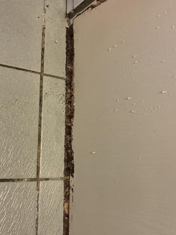 矽利康工程案件圖片