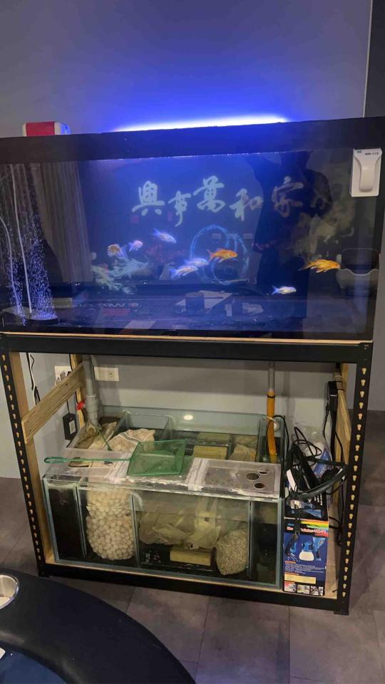 魚缸設計案件圖片