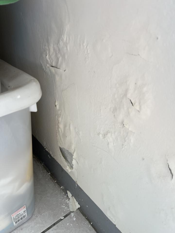 抓漏案件圖片