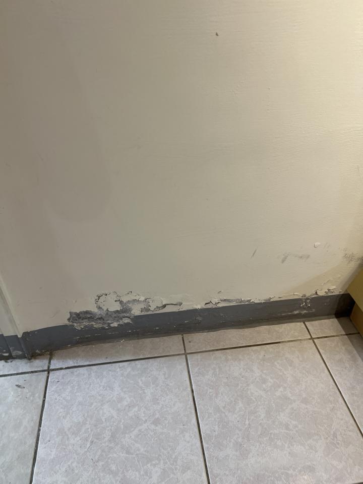 抓漏案件圖片