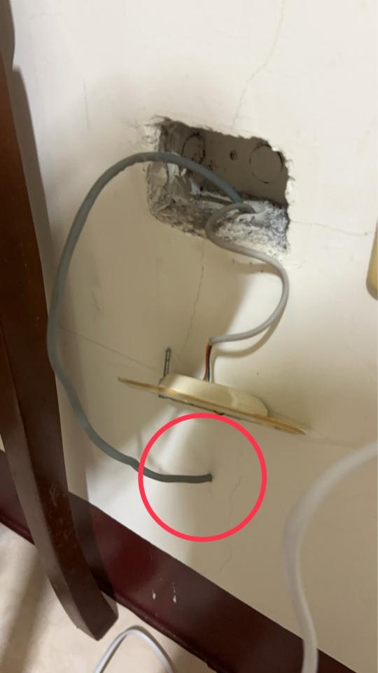拉網路線案件圖片
