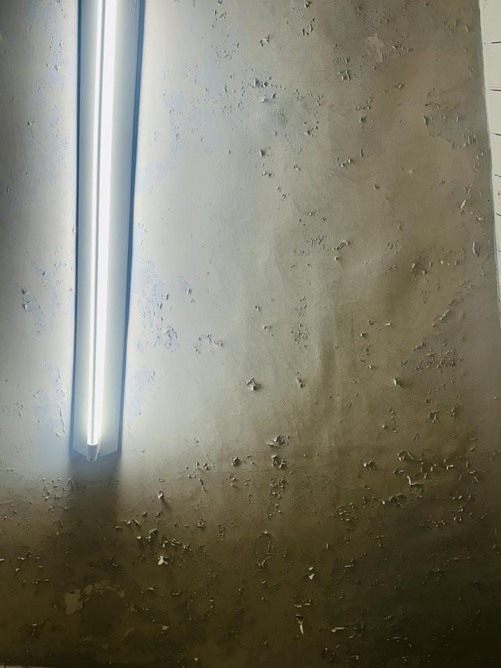 壁癌處理案件圖片