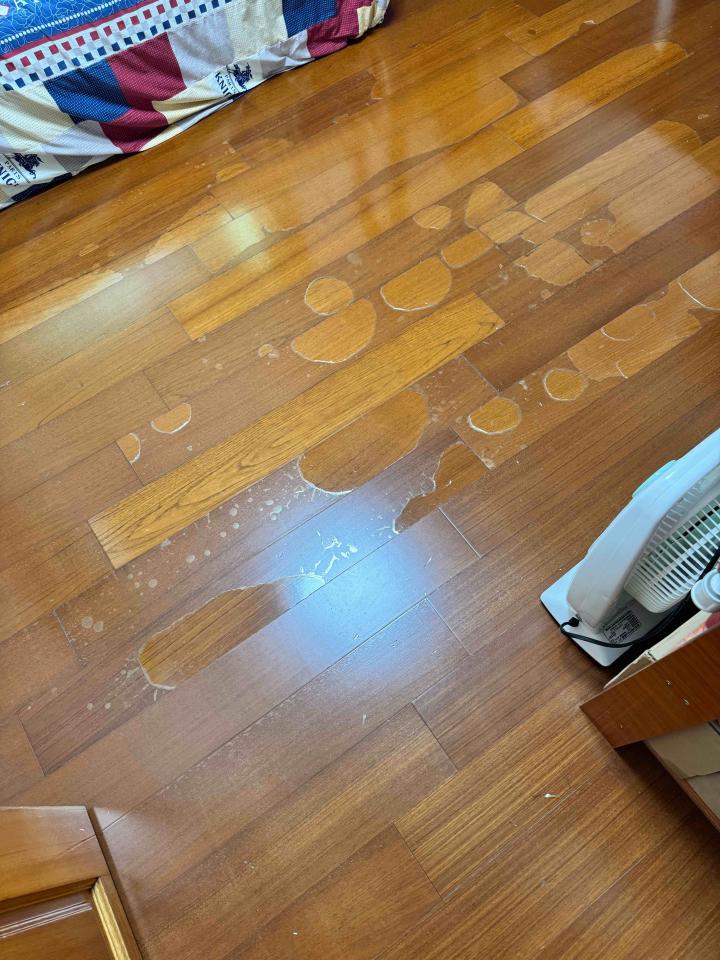 木地板打磨翻新案件圖片