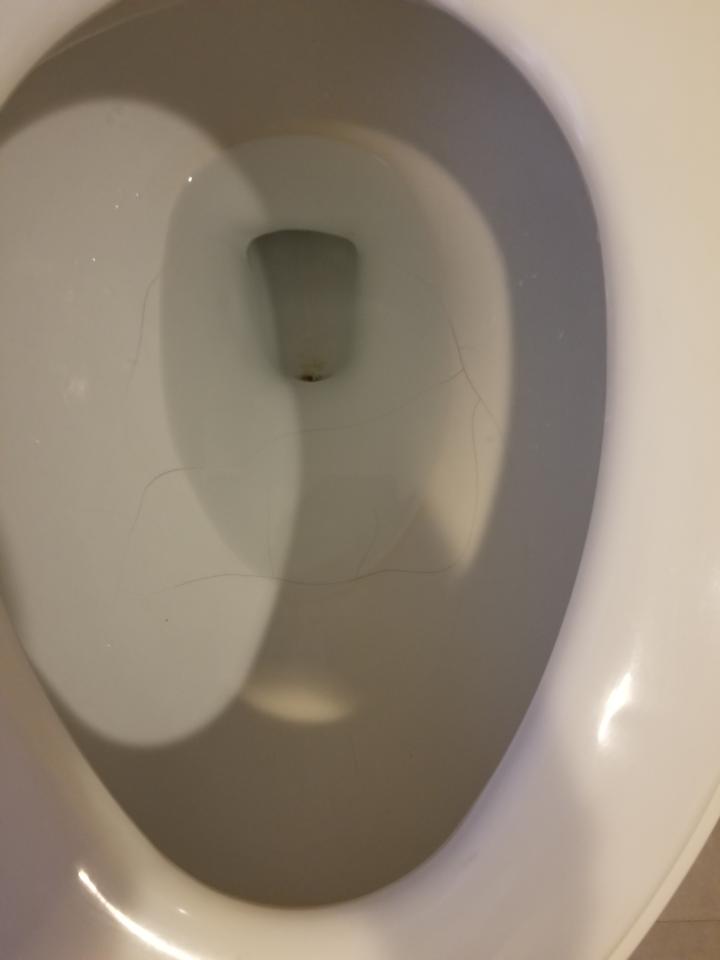 馬桶裝修案件圖片
