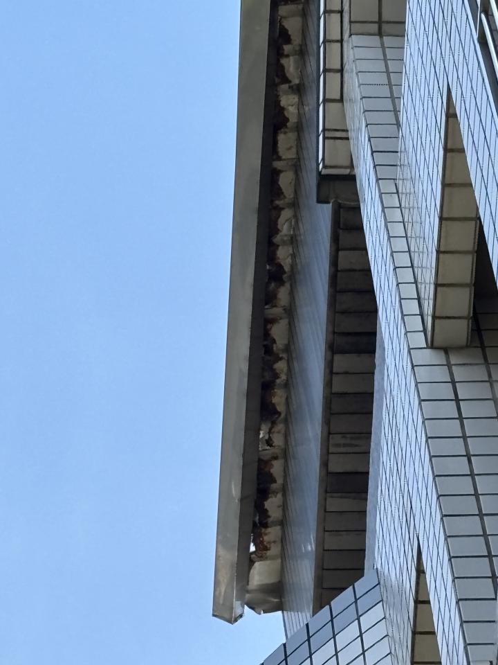 鐵皮屋頂案件圖片