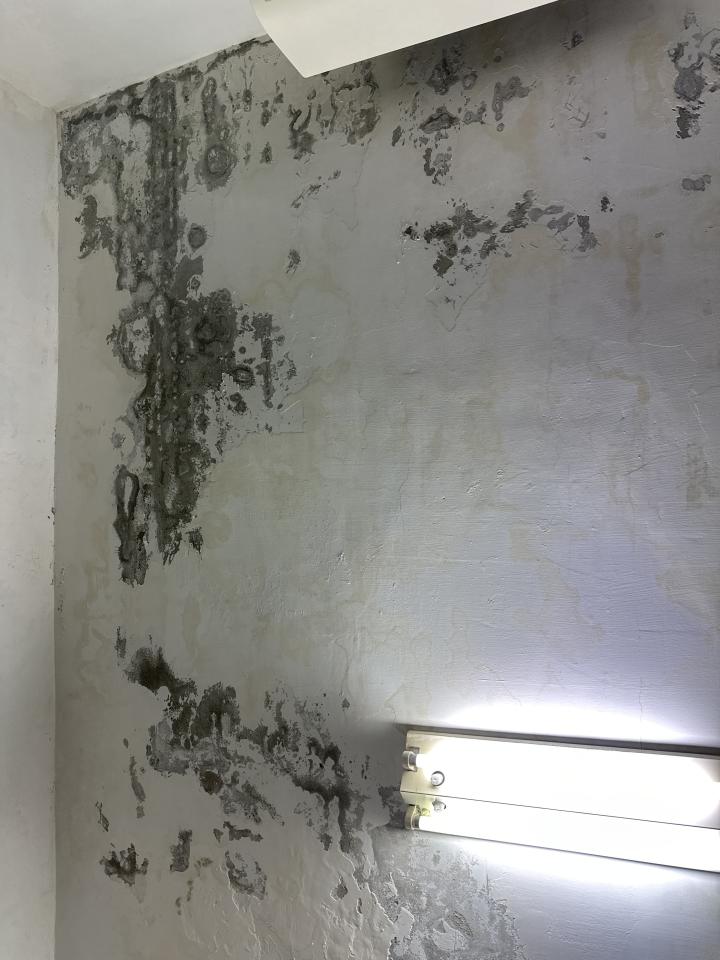 壁癌處理案件圖片