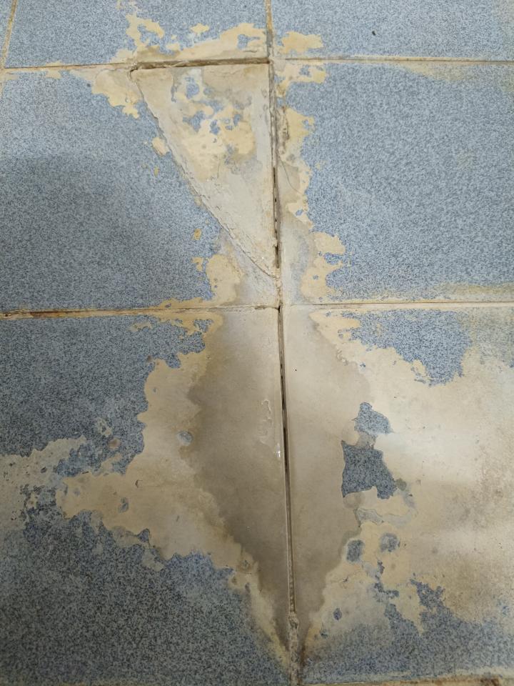 磁磚修補案件圖片