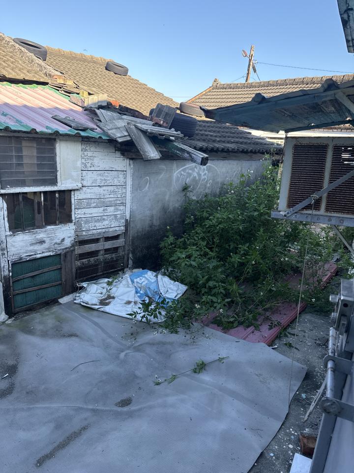 園藝維護案件圖片