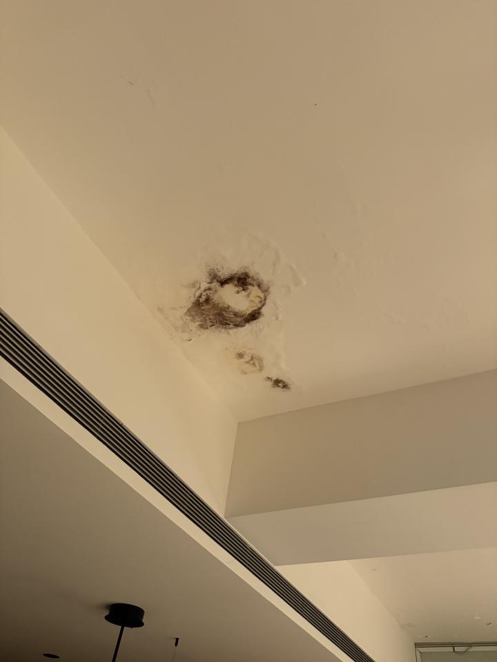 除霉案件圖片