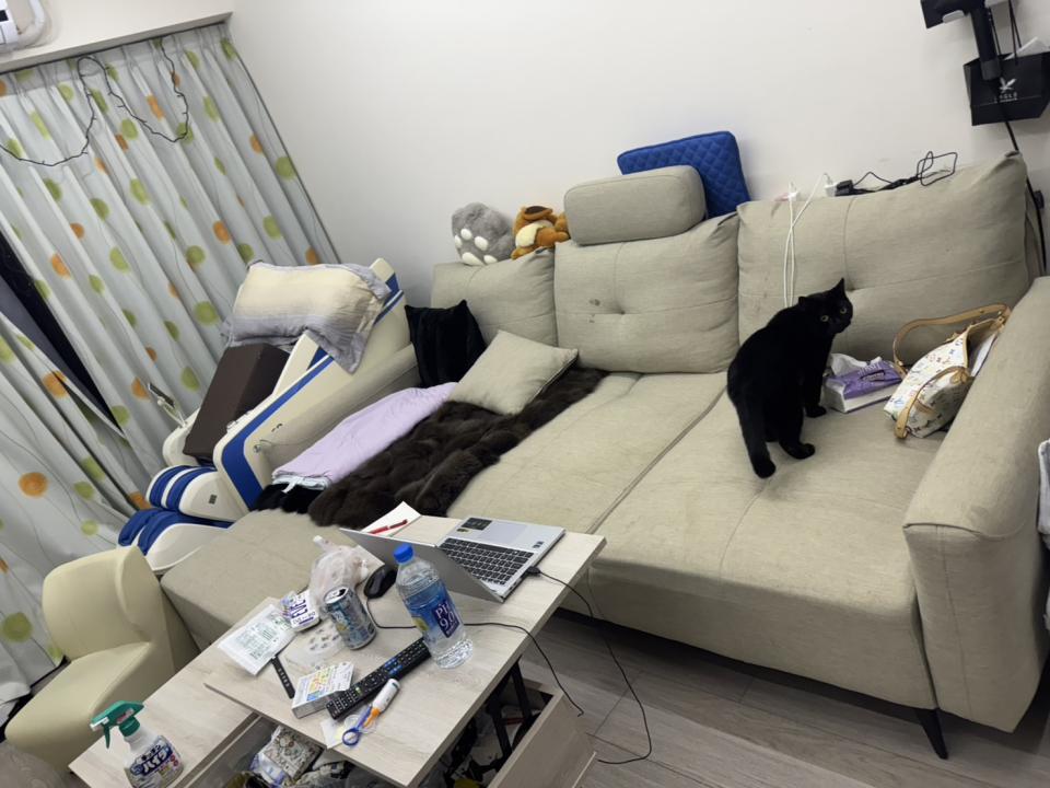 沙發清潔案件圖片