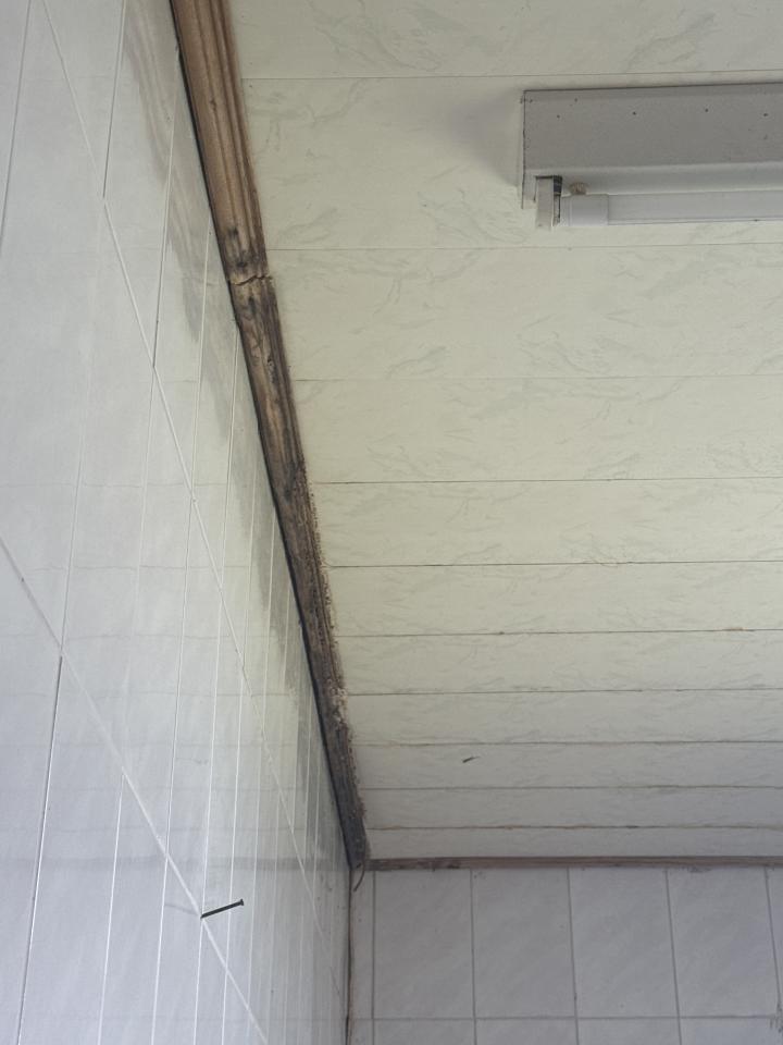 鐵皮屋頂案件圖片