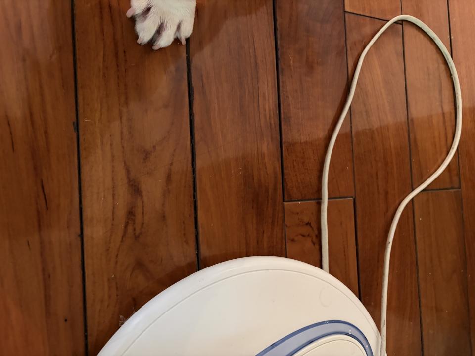 木地板打磨翻新案件圖片