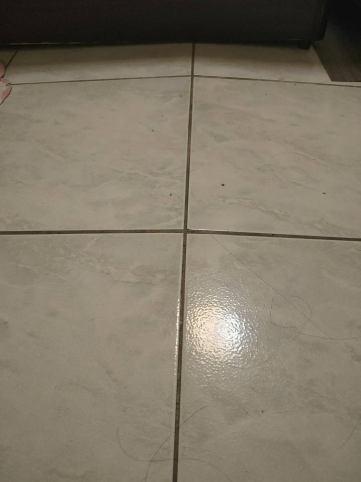 磁磚修補案件圖片