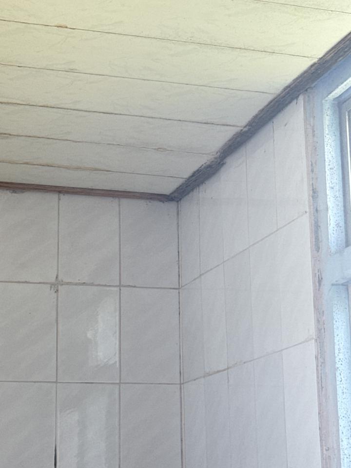鐵皮屋頂案件圖片