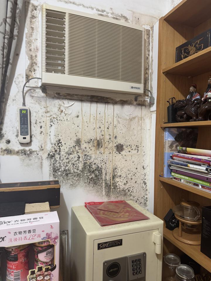 除霉案件圖片