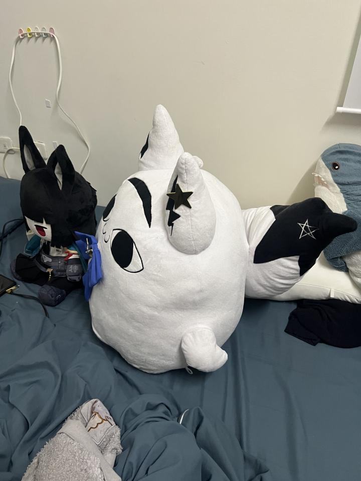 搬家案件圖片