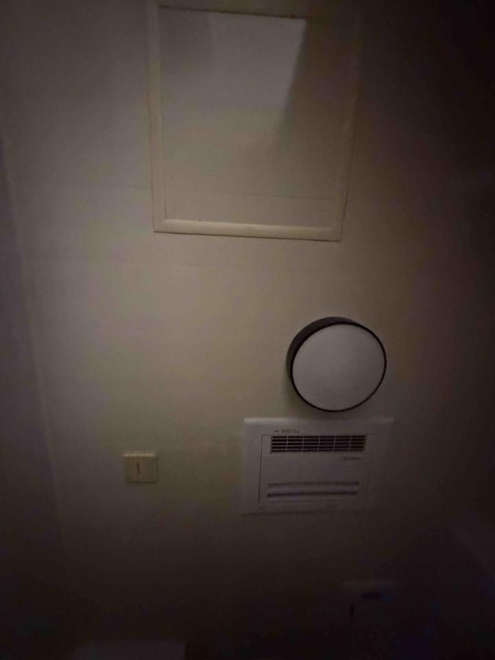 天花板設計案件圖片