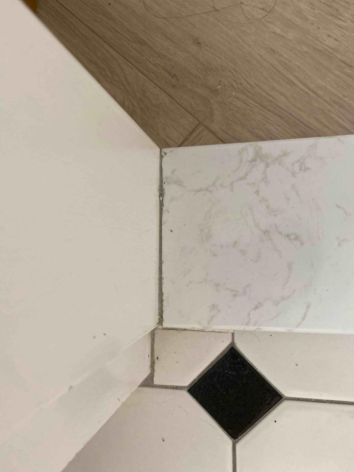 矽利康工程案件圖片