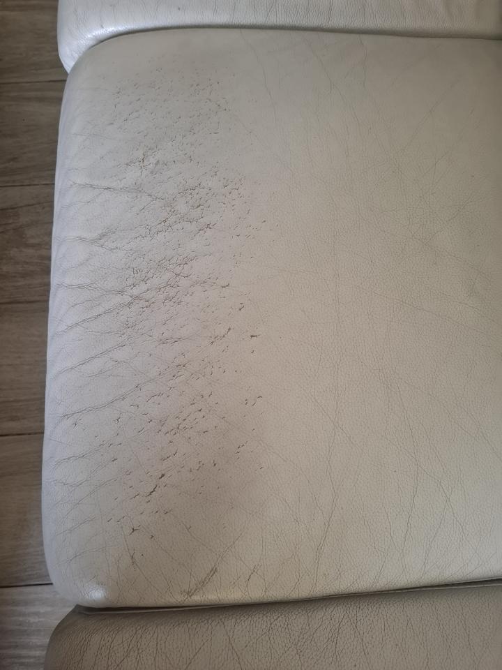 沙發修理案件圖片
