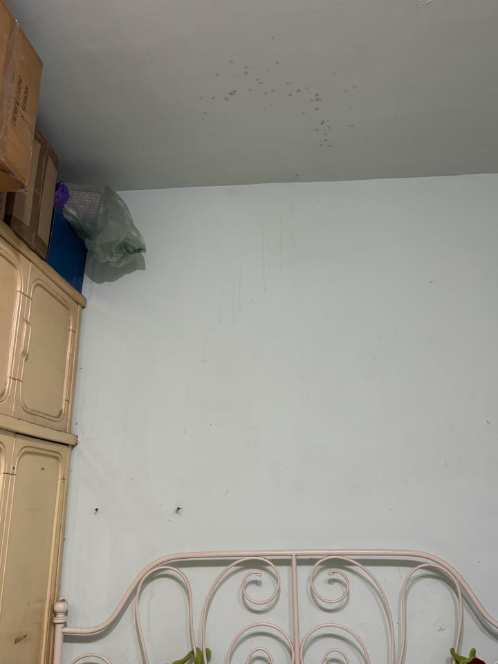 抓漏案件圖片