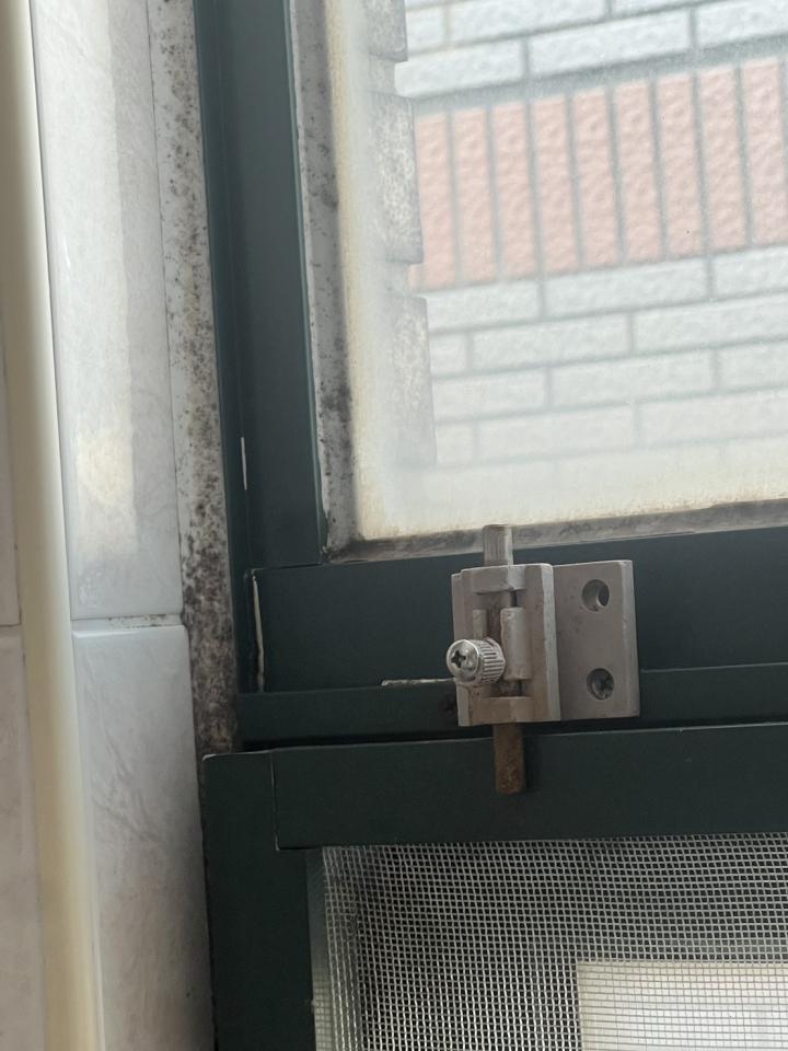 浴室除霉清潔案件圖片