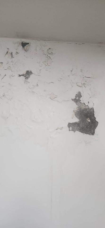 壁癌處理案件圖片