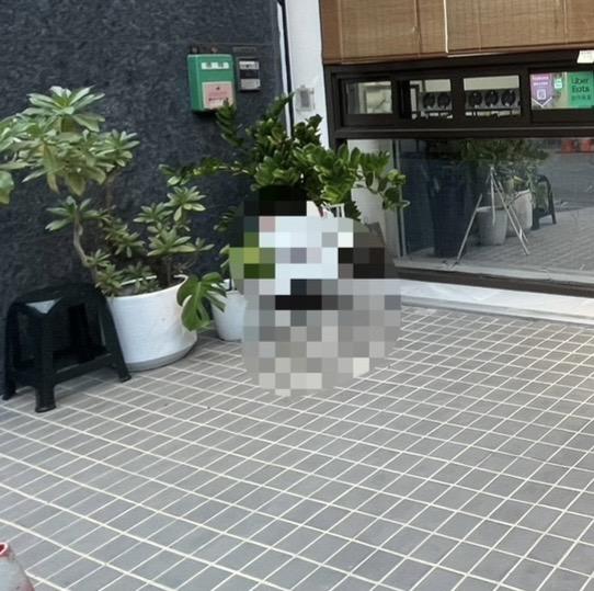 搬家案件圖片