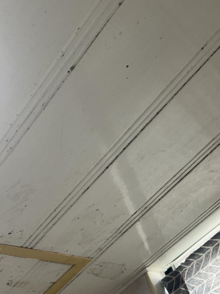 浴室除霉清潔案件圖片