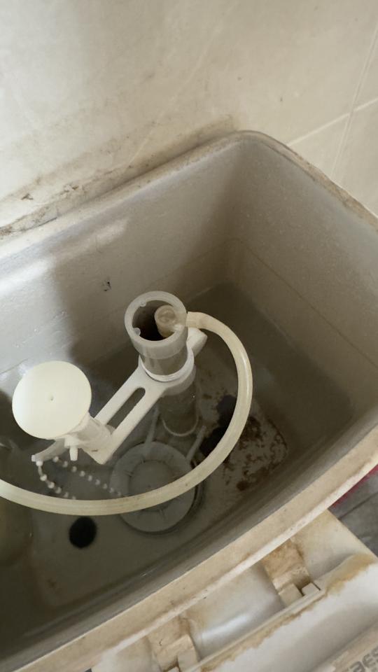 馬桶裝修案件圖片