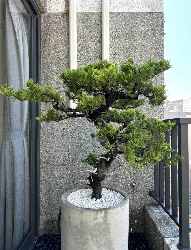 園藝維護案件圖片