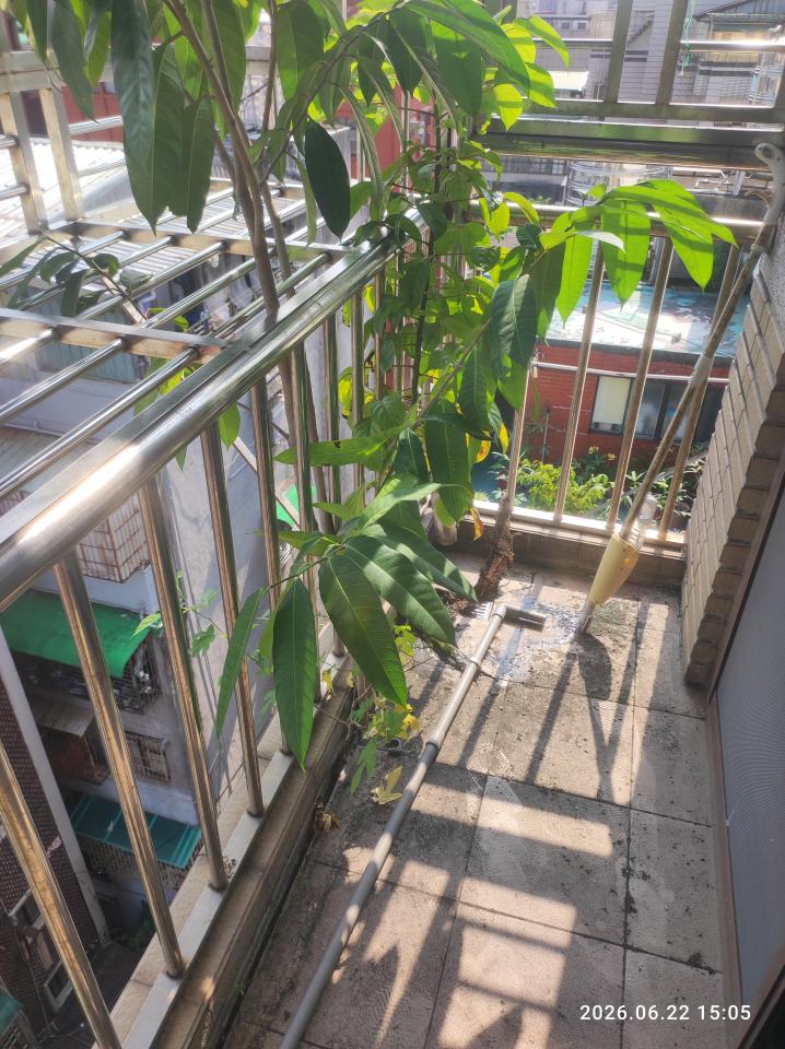 園藝維護案件圖片