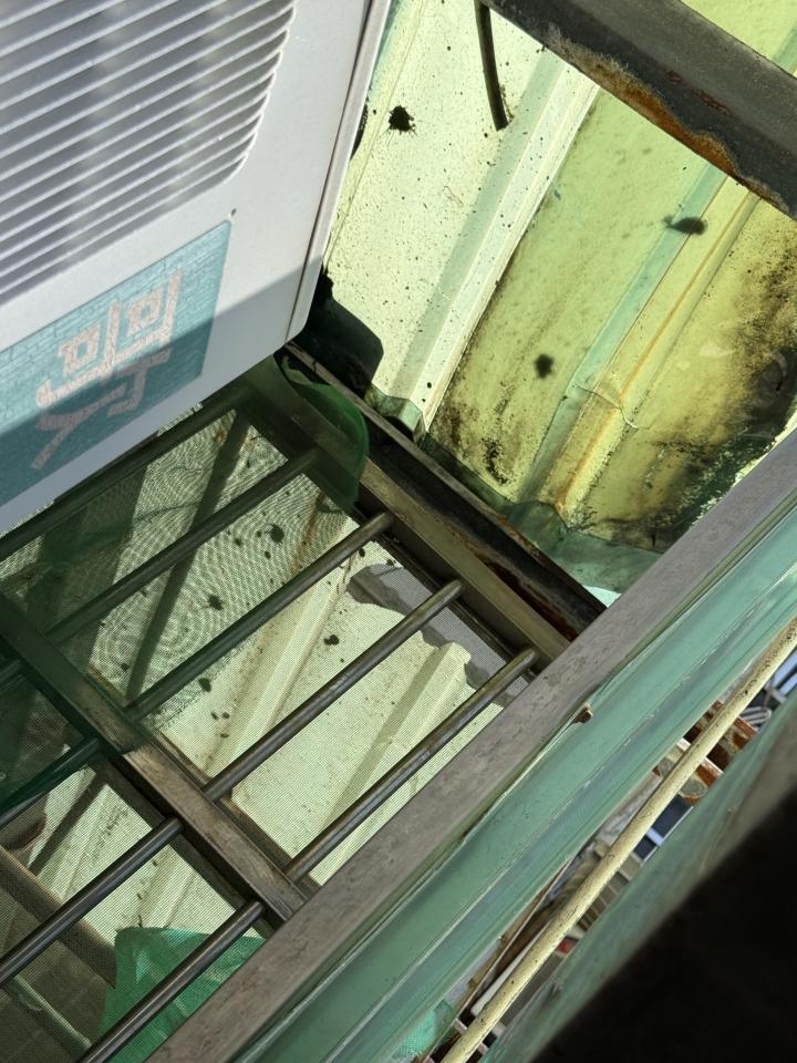 鐵皮屋頂案件圖片