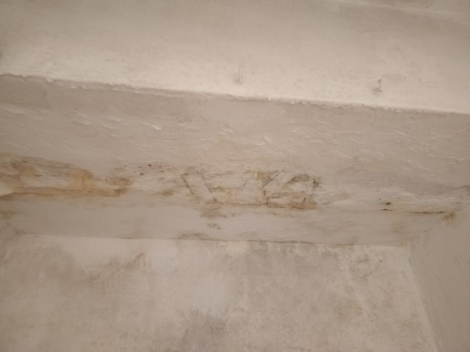 泥作/水泥施工案件圖片