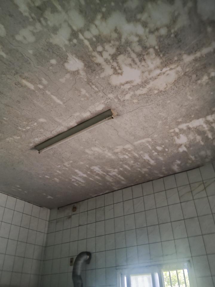 壁癌處理案件圖片