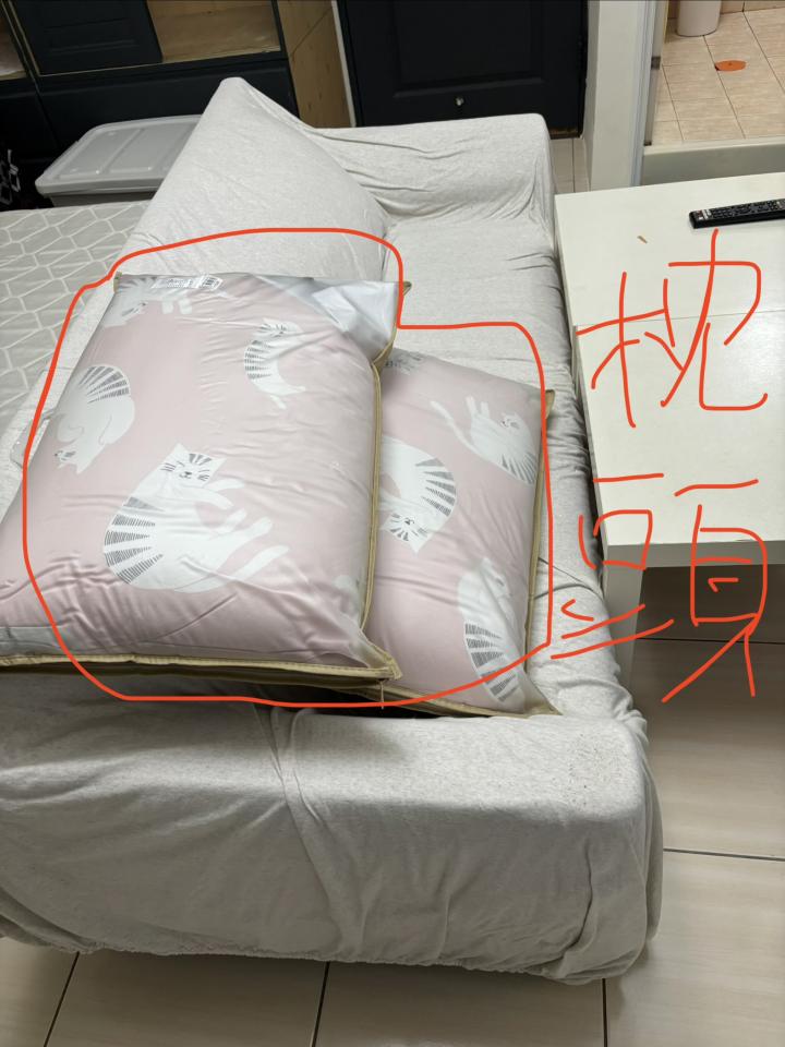 搬家案件圖片