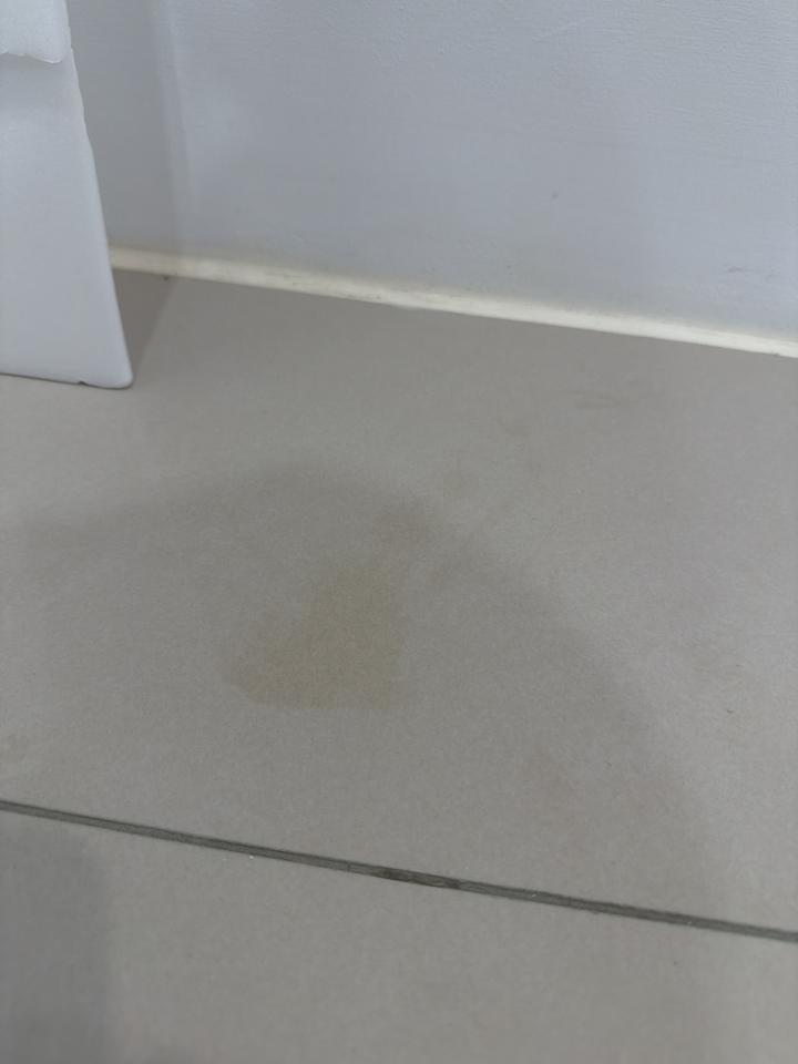 磁磚清潔案件圖片
