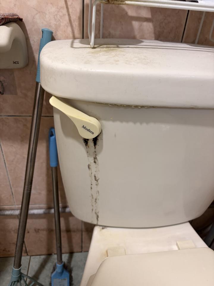 馬桶裝修案件圖片