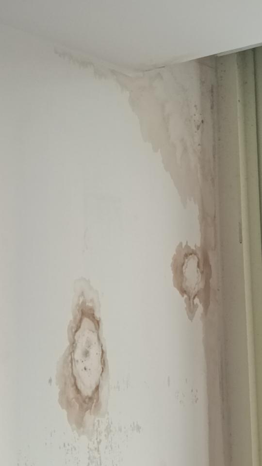 抓漏案件圖片