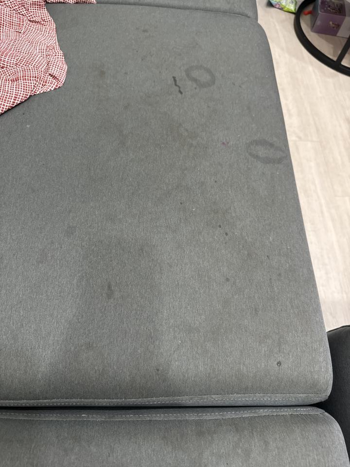 沙發清潔案件圖片