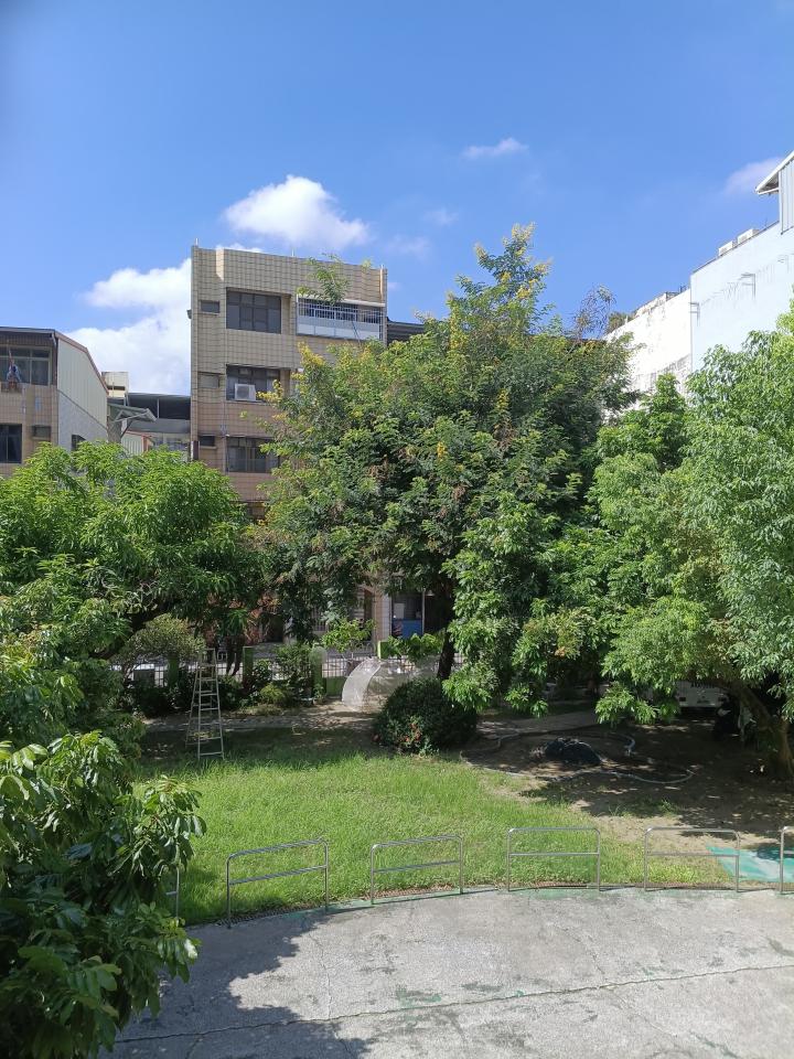 園藝維護案件圖片