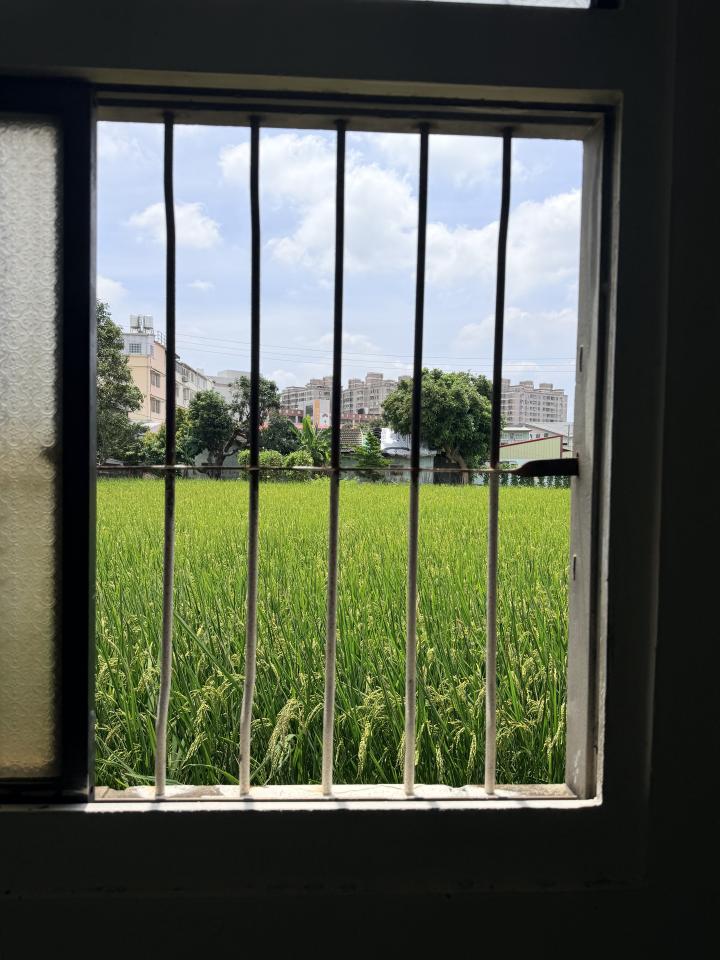 紗窗裝修案件圖片