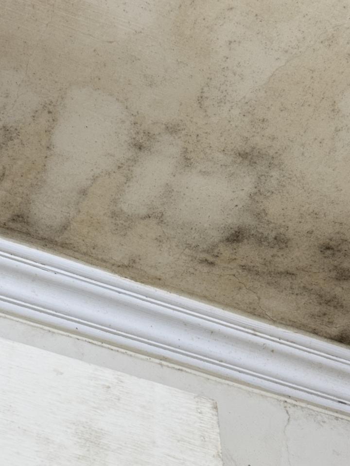 油漆工程案件圖片