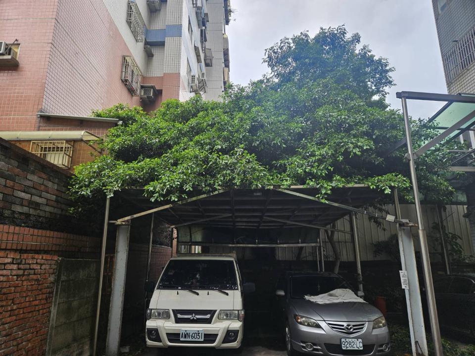 園藝維護案件圖片