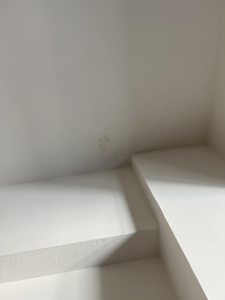 抓漏案件圖片