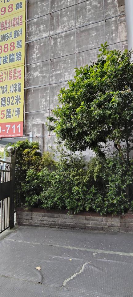 園藝維護案件圖片