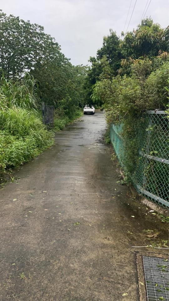 園藝維護案件圖片