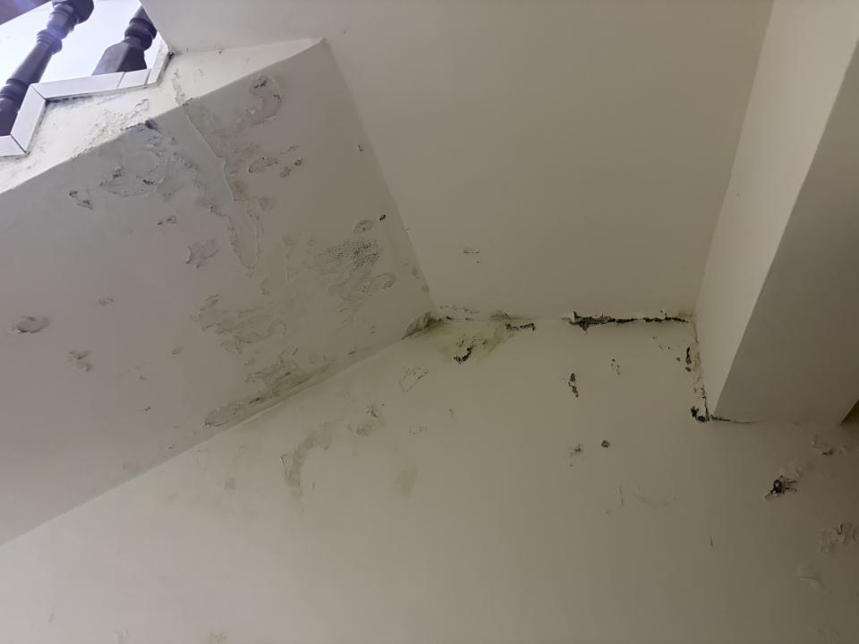 抓漏案件圖片