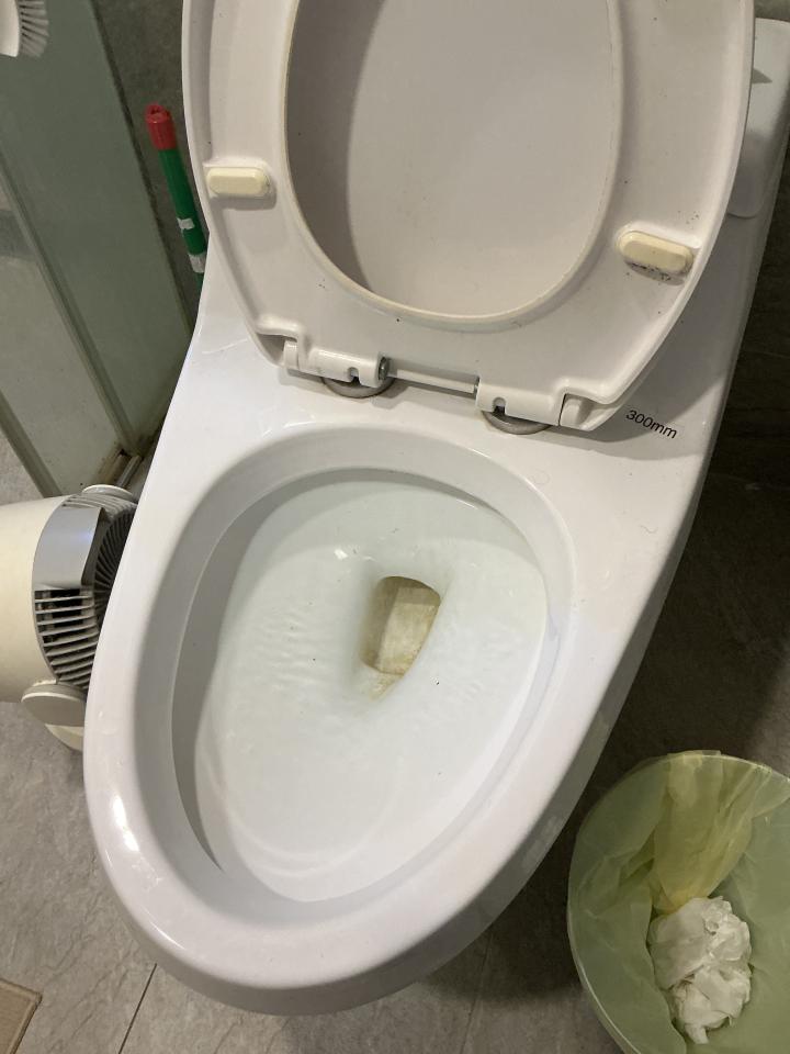 馬桶裝修案件圖片