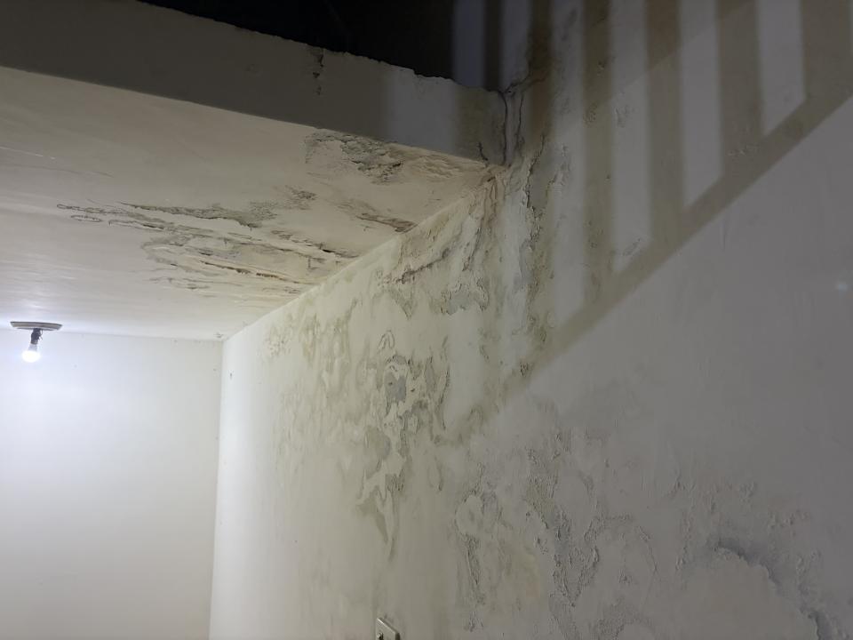 抓漏案件圖片