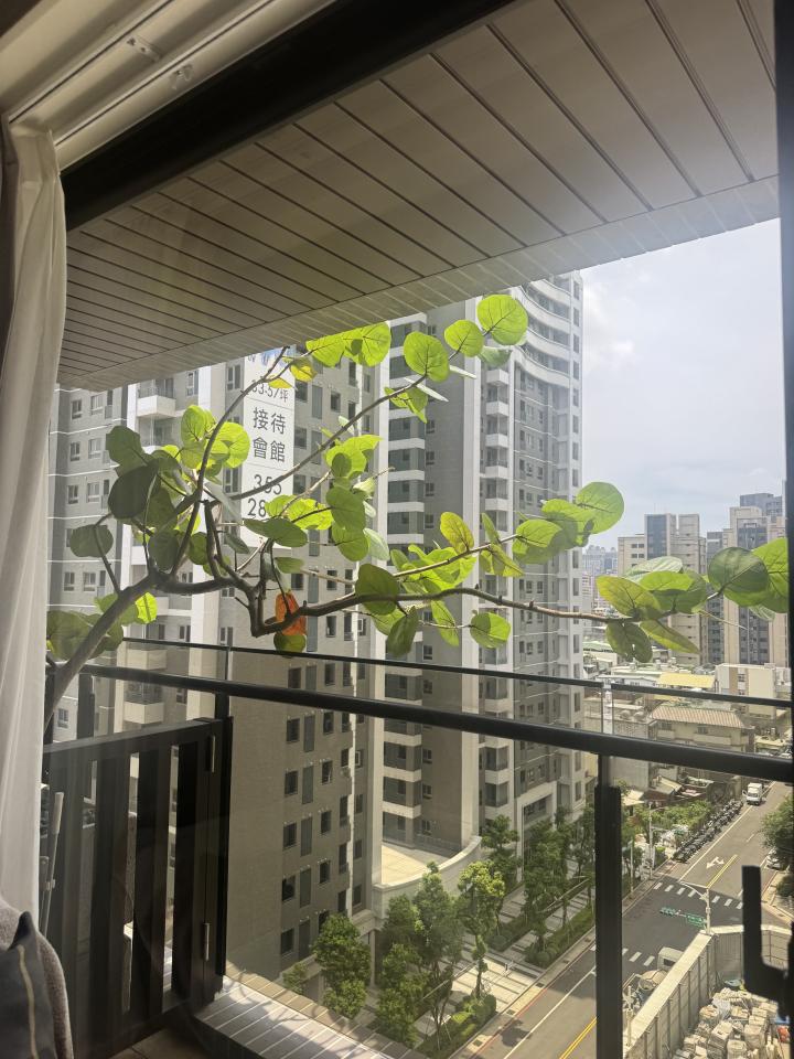 園藝維護案件圖片